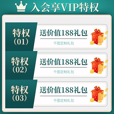 电商淘宝服装鞋业VIP会员特权主图