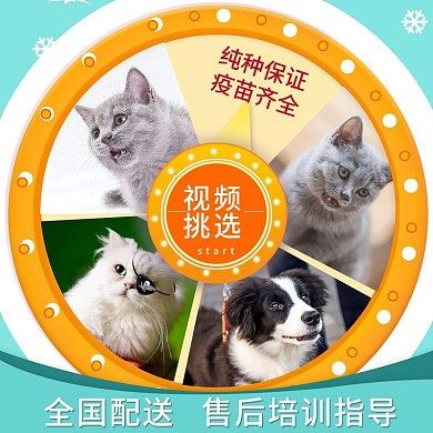 宠物售卖拼图直通车主图