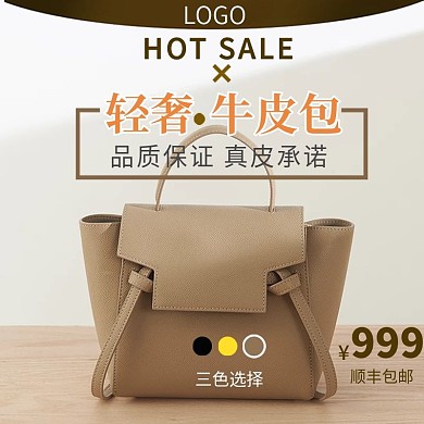 轻奢牛皮包简约主图源文件