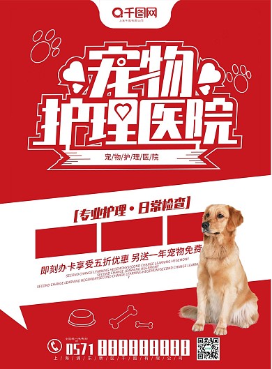 简约宠物护理医院宣传单