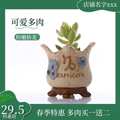 植物主图多肉主图活动直通车主图鲜花绿植