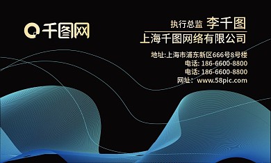 高档大气黑色线条名片