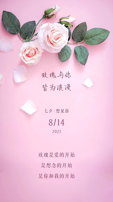 七夕浪漫小清新文艺粉色玫瑰花壁纸