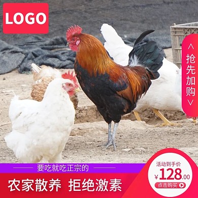 淘宝土鸡主图直通车