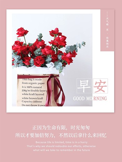 小清新文艺摄影图早安海报朋友圈心语日签