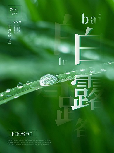 白露二十四节气海报露水绿叶