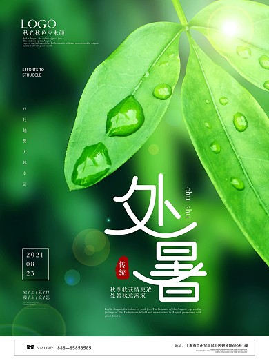 绿色创意简约处暑绿叶摄影图宣传海报