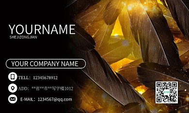 黑色简约创意金色羽毛商务名片设计