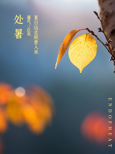 创意简约处暑摄影图海报