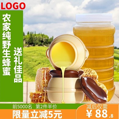淘宝天猫天然蜂蜜农家养生蜜主图直通推广图