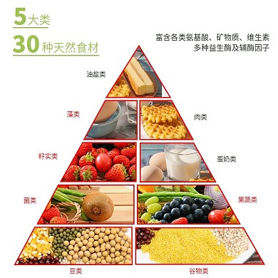 营养成分主图营养金字塔食物比例