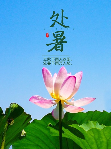 处暑节日摄影图海报