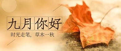 九月你好八月再见枫叶秋天摄影图海报