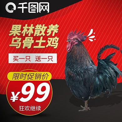 果林散养土鸡主图