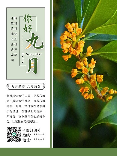 小清新九月你好9月桂花月签海报配图psd