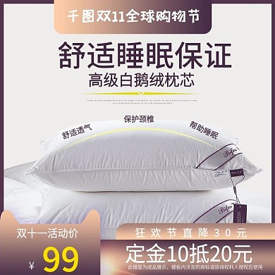 双十一高级白鹅绒枕芯主图2