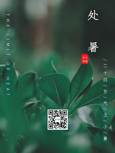 夏至二十四节气之一