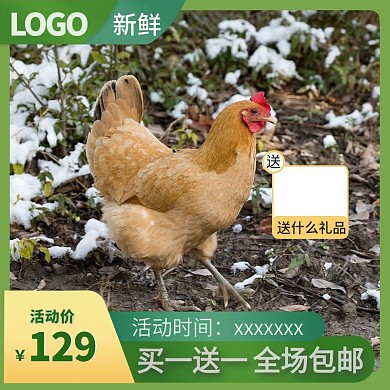 淘宝土鸡主图直通车