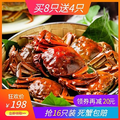 16只装特大鲜活现货大闸蟹