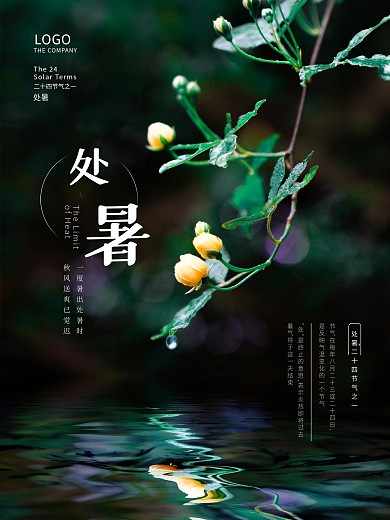 简约摄影图处暑节气节日海报