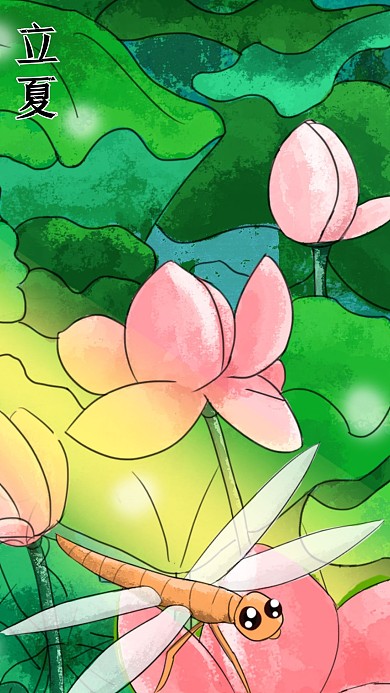 立夏时节荷花盛开