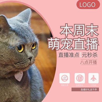 宠物直播主图准点秒杀