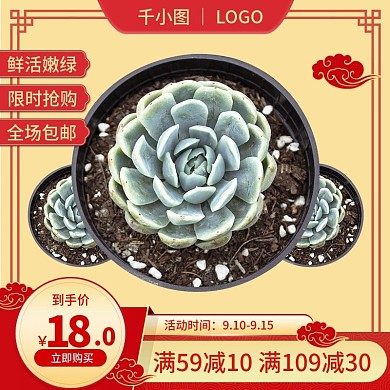 绿色多肉植物主图直通车