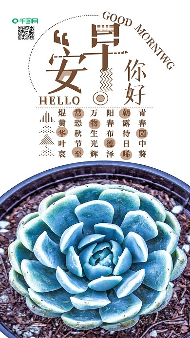 手机用图早安你好盆栽多肉