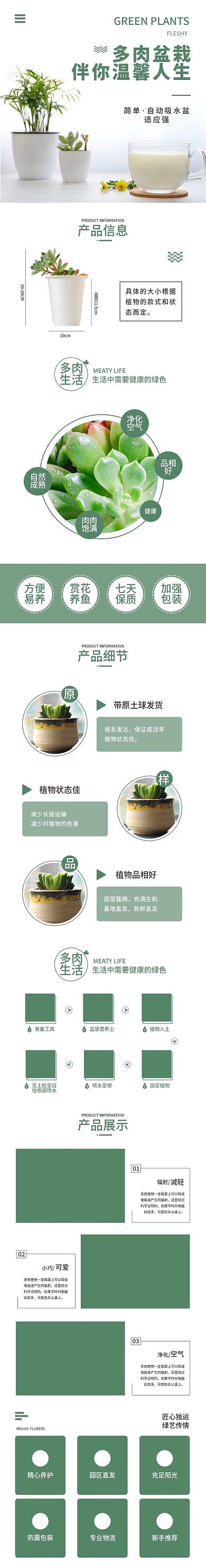 小清新绿色多肉绿植园艺盆栽电商淘宝详情页