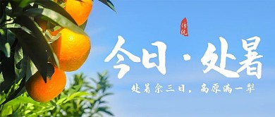 简约实景处暑公众号封面