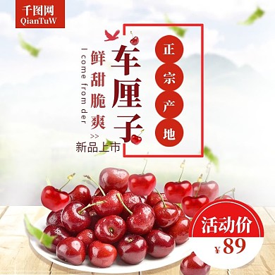 正宗甜蜜车厘子樱桃主图