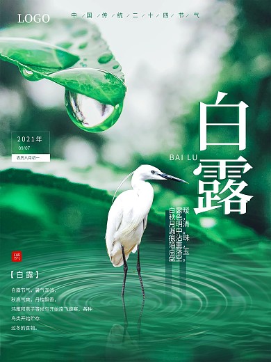 白露24节气绿色简约宣传海报