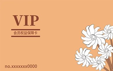VIP11贵宾福利宣传会员卡设计模板