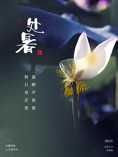 处暑秋天荷花二十四节气海报地产海报