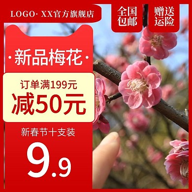 腊梅花鲜花水仙年货新春元宵装饰主图直通车