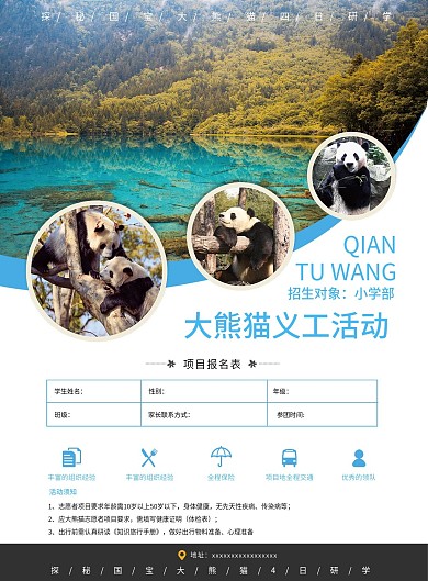 DM单宣传单页四川熊猫招生培训旅游宣传单