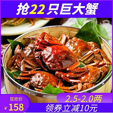 22只装黄大鲜活现货大闸蟹