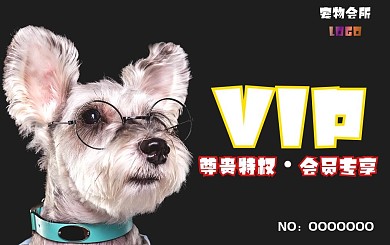 宠物会所简约会员卡