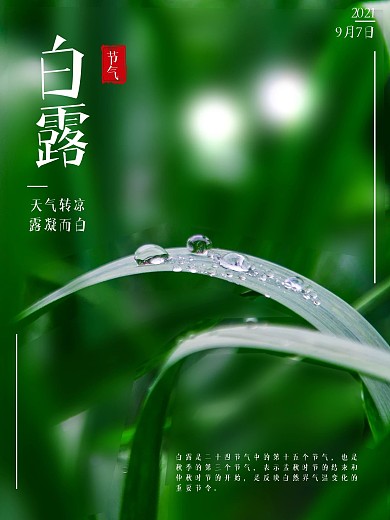 白露天气转凉露凝而白