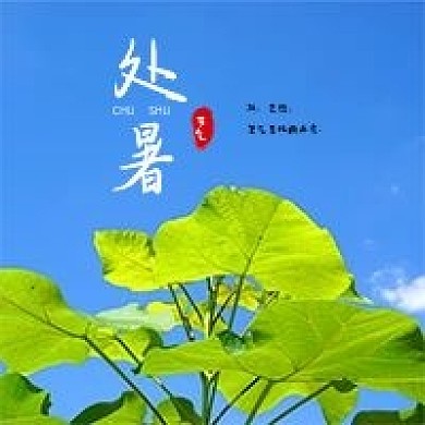 二十四节气处暑微信公众号次图