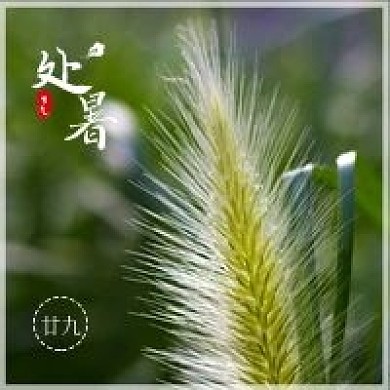 二十四节气处暑微信公众号次图