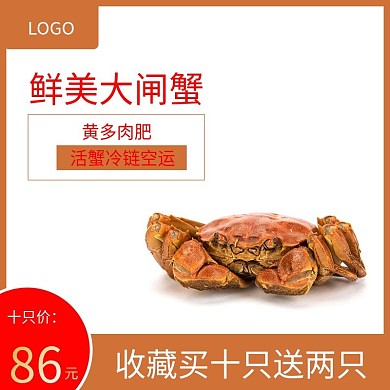 鲜美可口大闸蟹速抢购