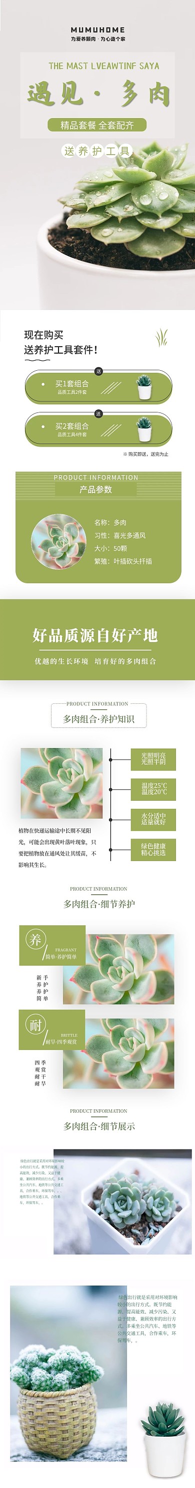 简约风多肉植物盆栽详情页