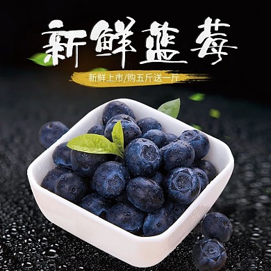 淘宝赠送新鲜上市蓝莓主图