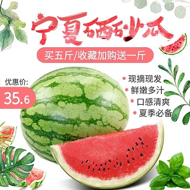 电商主图直通车清新简约水果宁夏硒砂瓜绿叶