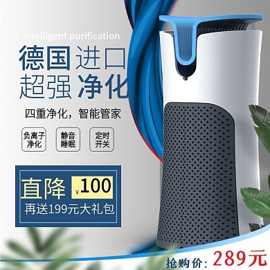 德国进口超强净化简约风直通车模板