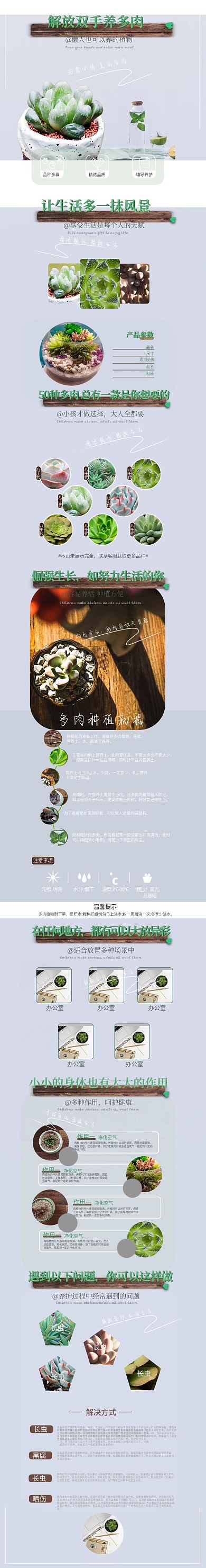 多肉详情页小清新风格