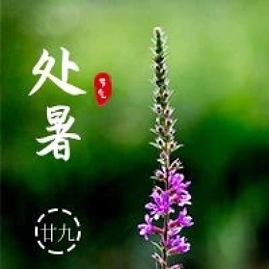 二十四节气处暑微信公众号次图