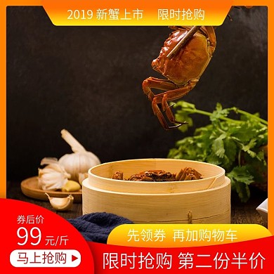 大闸蟹主图阳澄湖大闸蟹海鲜主图