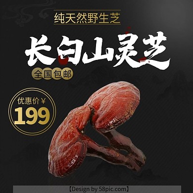 淘宝主图药材灵芝主图直通车PSD模版钻展